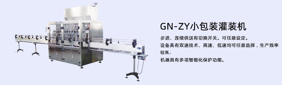 ������ˎ��